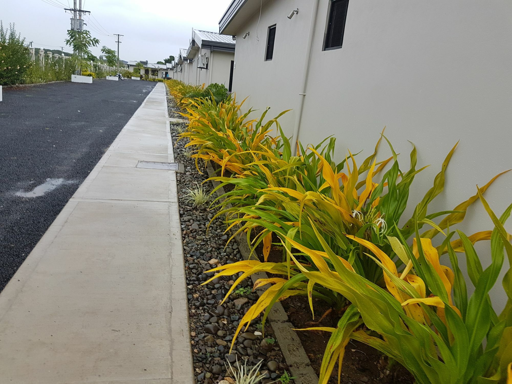 Nadi Airport Apartments Εξωτερικό φωτογραφία